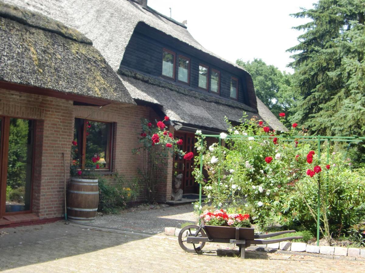 Amaya Hotel & Suites 索尔陶 外观 照片